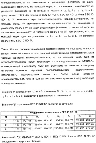 Домены и эпитопы менингококкового белка nmb1870 (патент 2375374)