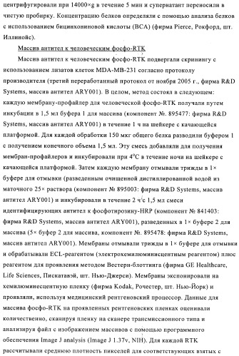 Химерные и гуманизированные антитела к cd44, которые опосредствуют цитотоксичность в отношении раковых клеток (патент 2487723)