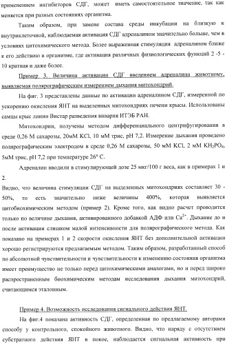Цитобиохимический способ определения активности сукцинатдегидрогеназы, окисления эндогенной янтарной кислоты, сигнального действия микромолярных концентраций янтарной кислоты, его применение для количественной оценки уровня адренергической регуляции в организме, среда и набор для осуществления способа (патент 2364868)