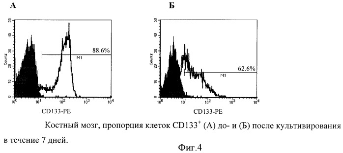 Способ увеличения количества гемопоэтических недифференцированных стволовых клеток пациента ex vivo (патент 2360965)