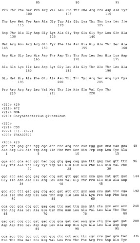 Гены corynebacterium glutamicum, кодирующие белки, участвующие в метаболизме углерода и продуцировании энергии (патент 2310686)