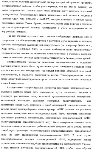 Изолированные полипептиды, кодирующие их полинуклеотиды, экспрессирующие их трансгенные растения и способы их использования (патент 2487166)