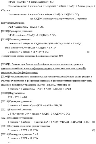Использование фосфокетолазы для продукции полезных метаболитов (патент 2322496)