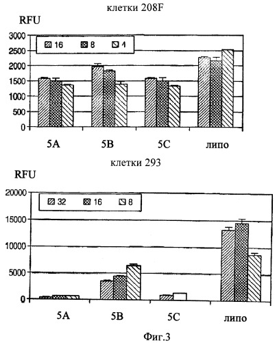 Биодеградируемые катионные полимеры (патент 2440380)