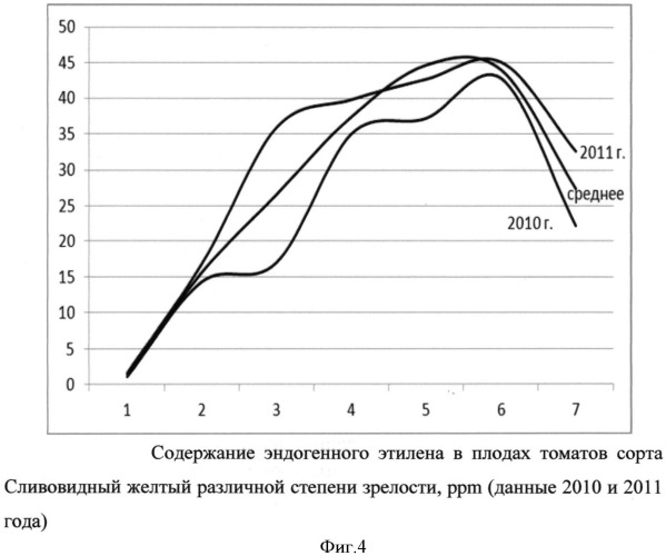 Способ определения степени зрелости плодов томатов с различной окраской (патент 2538717)