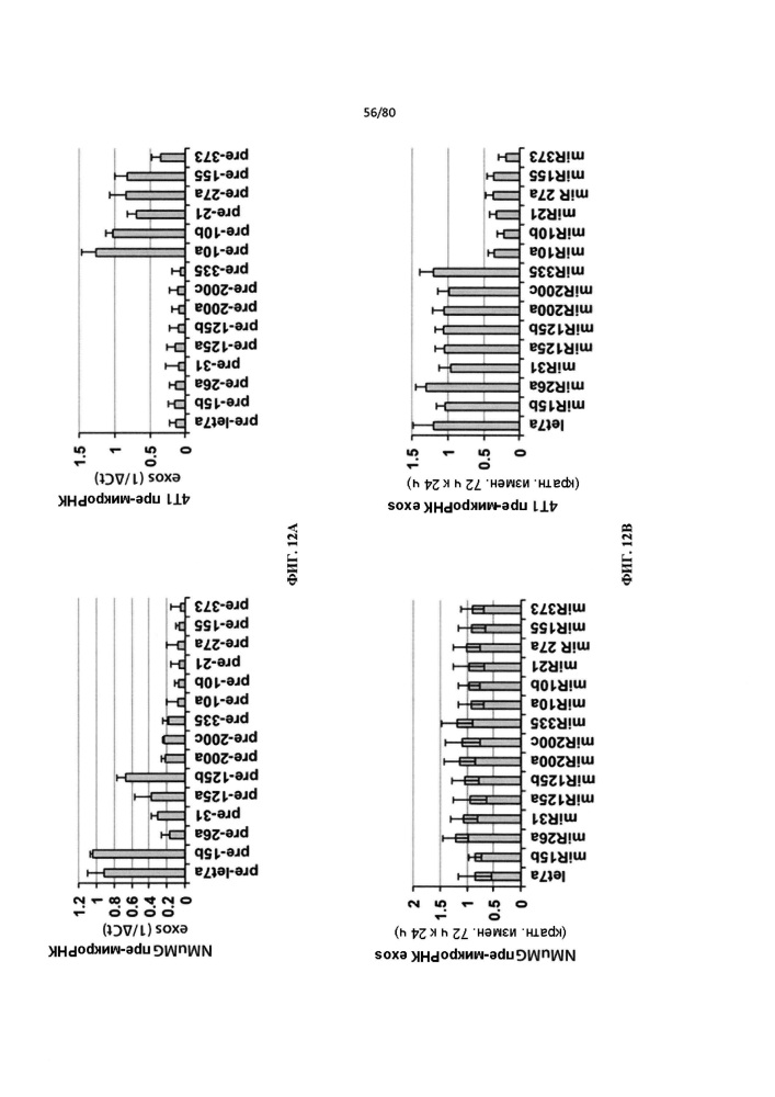 Использование биогенеза микрорнк в экзосомах для диагностики и лечения (патент 2644247)