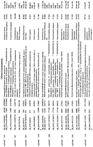 Гены corynebacterium glutamicum, кодирующие белки метаболических путей (патент 2306339)