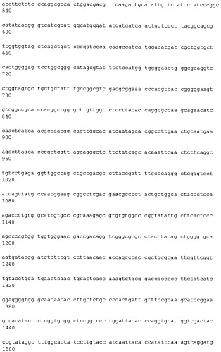 Способ нейтрализации вируса гепатита с, полностью человеческое моноклональное антитело против вируса гепатита с (варианты), композиция полностью человеческих моноклональных антител против вируса гепатита с и гибридная мышь/человек клеточная линия - продуцент полностью человеческих моноклональных антител против вируса гепатита с (варианты) (патент 2539770)