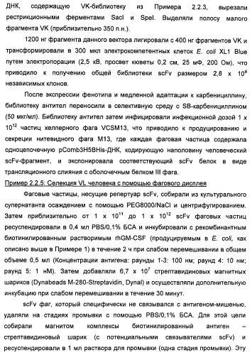 Антитела-нейтрализаторы гранулоцитарно-макрофагального колониестимулирующего фактора человека (патент 2458071)