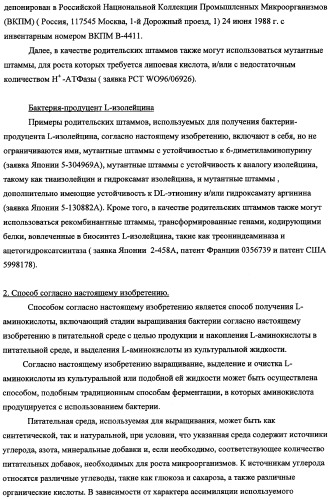 Способ получения l-треонина с использованием бактерии, принадлежащей к роду escherichia, в которой инактивирован оперон rspab (патент 2337961)