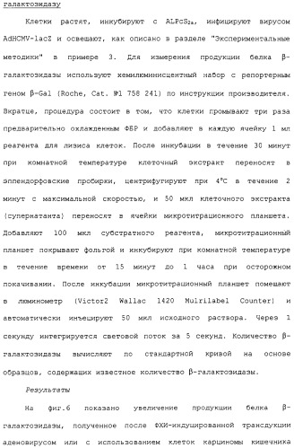 Фотохимическая интернализация для опосредованной вирусом доставки молекулы в цитозоль (патент 2317827)