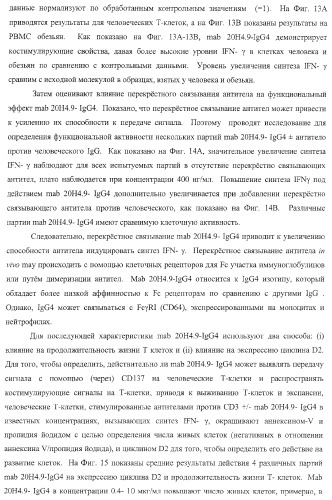 Человеческие антитела против человеческого 4-1вв (cd137) (патент 2376316)