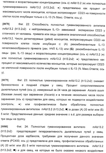 Антитела против интерлейкина-13 человека и их применение (патент 2427589)