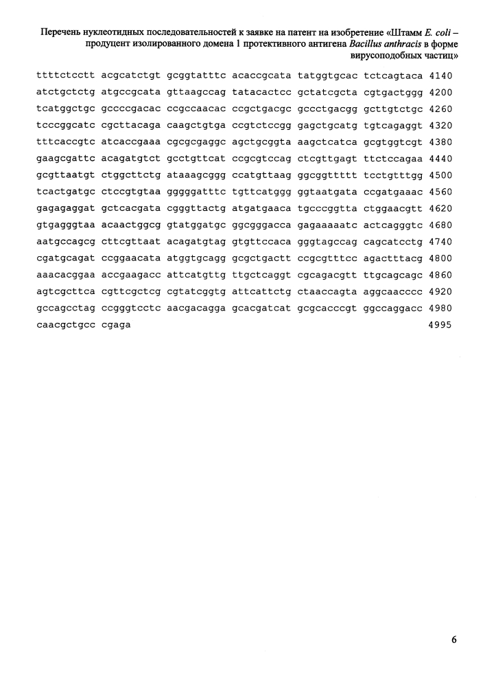 Штамм e. coli - продуцент изолированного домена 1 протективного антигена bacillus anthracis в форме вирусоподобных частиц (патент 2633508)