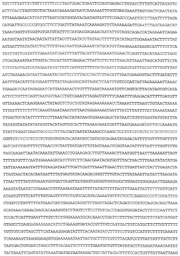 Применение s1p (патент 2362565)