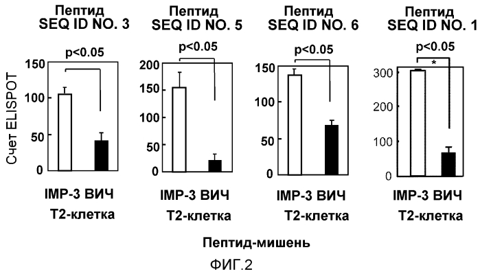 Олигопептиды imp-3 и содержащие их вакцины (патент 2550695)