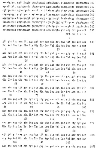 Бактерия, продуцирующая l-аминокислоту, и способ получения l-аминокислоты (патент 2351653)