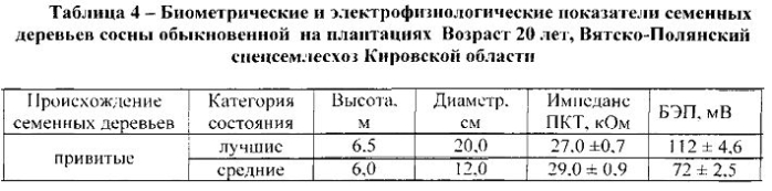 Способ формирования лесосеменных плантаций сосны обыкновенной (патент 2579798)