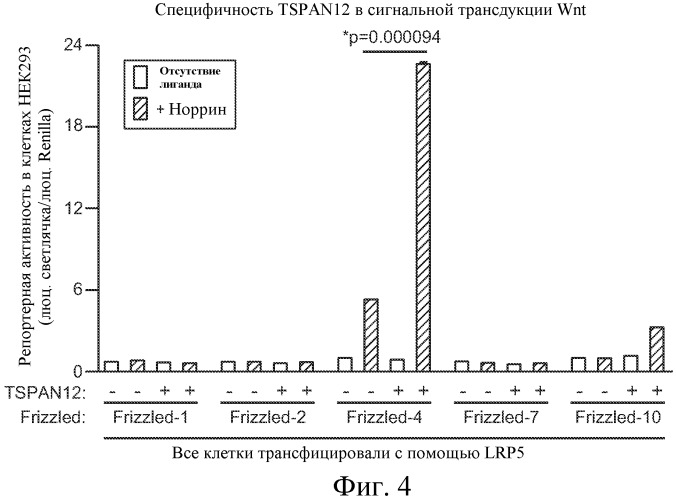 Способы ингибирования глазного ангиогенеза (патент 2530583)