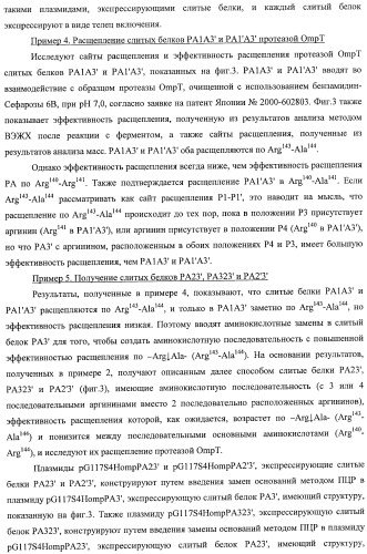 Способ расщепления полипептидов с использованием варианта протеазы оmpт (патент 2395582)