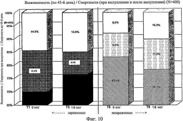 Усиленный иммунный ответ у видов птиц (патент 2570732)