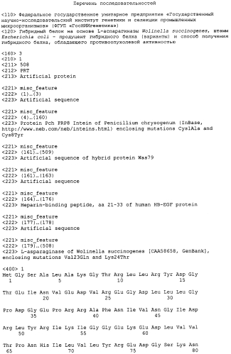 Гибридный белок на основе l-аспарагиназы wolinella succinogenes, штамм escherichia coli - продуцент гибридного белка (варианты) и способ получения гибридного белка, обладающего противоопухолевой активностью (патент 2562166)