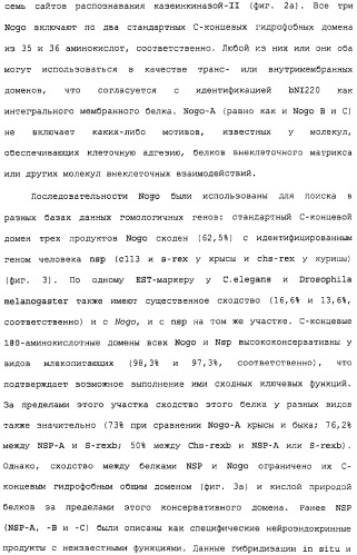 Поликлональное антитело против nogo, фармацевтическая композиция и применение антитела для изготовления лекарственного средства (патент 2432364)