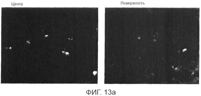 Гомогенизация и термическая обработка отливаемого металла (патент 2424869)