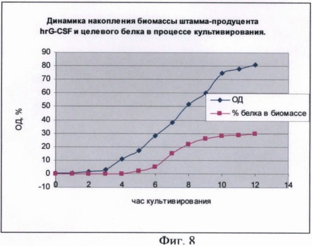 Способ промышленного культивирования штаммов e.coli, полученных на основе штамма bl21(de3), несущего ген t7 rna полимеразы под контролем lacuv5 промотора, с повышенным синтезом биомассы и выходом целевого белка в тельцах включения (патент 2473683)