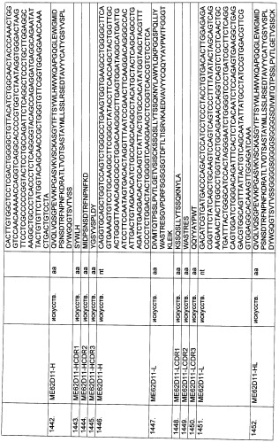 Pscaxcd3, cd19xcd3, c-metxcd3, эндосиалинxcd3, epcamxcd3, igf-1rxcd3 или fap-альфаxcd3 биспецифическое одноцепочечное антитело с межвидовой специфичностью (патент 2547600)