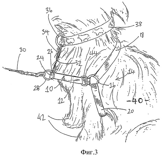 Шлейка для животного (патент 2359449)