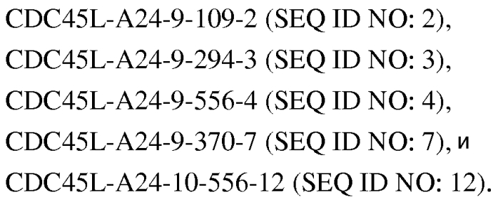 Пептиды cdc45l и вакцины, включающие таковые (патент 2562160)