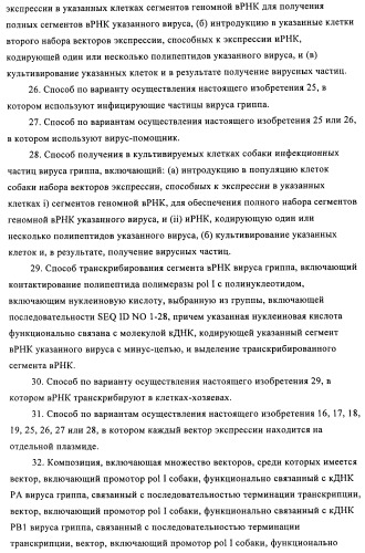 Способы и композиции для экспрессии антисмысловой вирусной рнк в клетках собаки (патент 2457250)