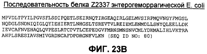 Бактериальные факторы вирулентности и варианты их применения (патент 2465331)