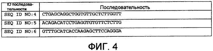 Лечение заболеваний, связанных с фактором роста эндотелия сосудов (vegf), посредством ингибирования природного антисмыслового транскрипта к vegf (патент 2569182)