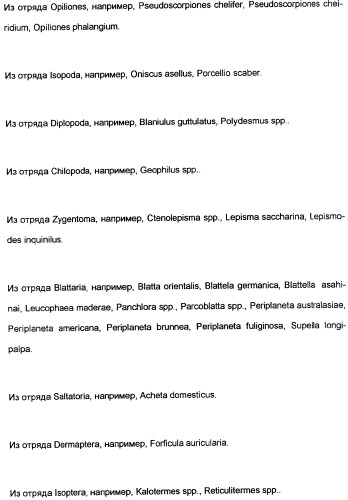 Замещенные тиазолилом карбоциклические 1,3-дионы в качестве средств для борьбы с вредителями (патент 2306310)