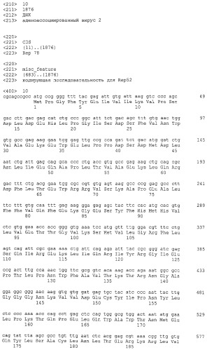 Aav векторы с усовершенствованными rep-кодирующими последовательностями, используемыми в системах продукции на основе клеток насекомых (патент 2457252)