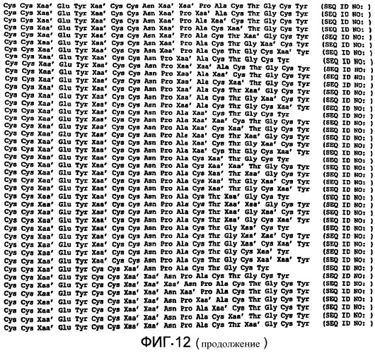 Полипептид для увеличения активности рецептора гуанилатциклазы, фармацевтическая композиция, способ лечения желудочно-кишечного расстройства у пациента, способ повышения активности рецептора гуанилатциклазы у пациента, способ лечения висцеральной боли, способ получения полипептида (варианты), изолированная молекула нуклеиновой кислоты, бактериальный вектор экспрессии и изолированная бактериальная клетка (патент 2433133)