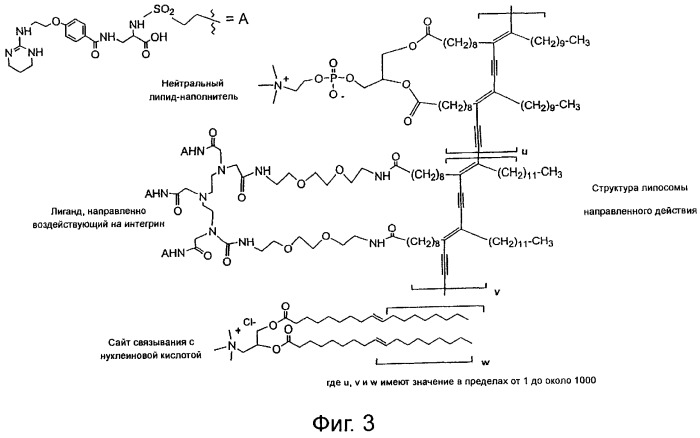 Система доставки нуклеиновых кислот (патент 2294192)