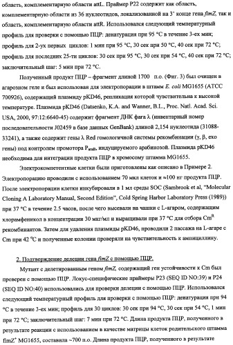 Способ получения l-треонина с использованием бактерии, принадлежащей к роду escherichia, в которой инактивирован кластер генов sfmacdfh-fimz или ген fimz (патент 2333953)