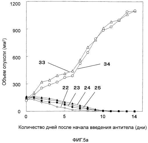 Фармацевтическая композиция для лечения и профилактики злокачественных опухолей (патент 2498819)