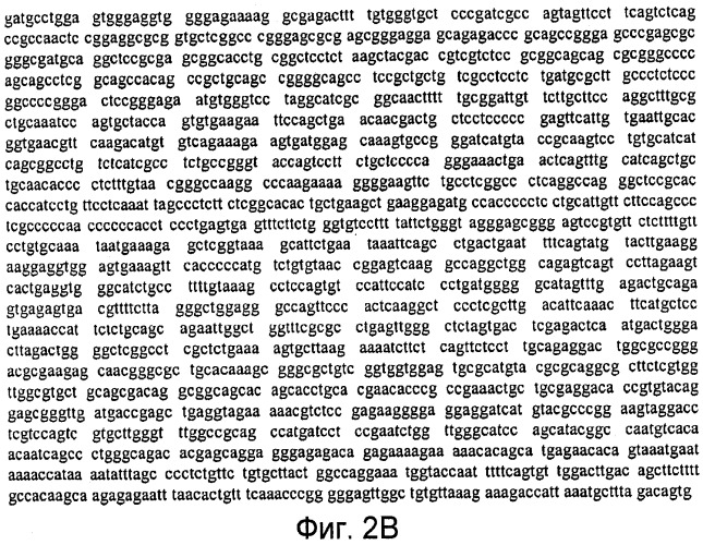 Способы выявления воспалительного заболевания кишечника (патент 2502806)