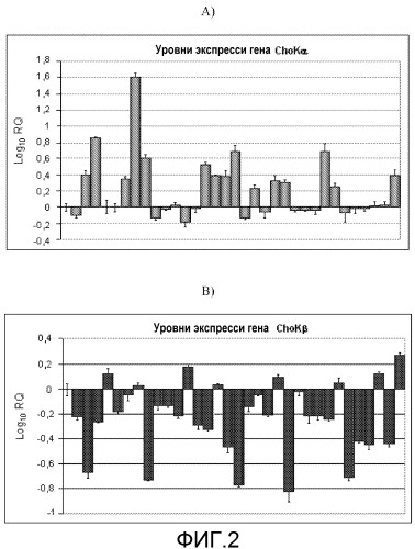 Способы лечения и диагностики рака (патент 2509809)