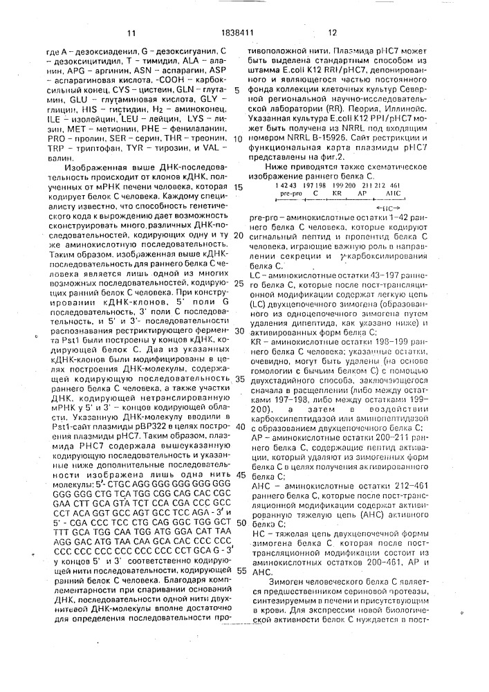 Способ получения рекомбинантной плазмидной днк и способ получения зимогенной формы белка с человека (патент 1838411)