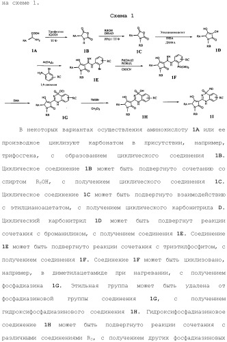 Фосфадиазиновые ингибиторы iv полимеразы hcv (патент 2483073)