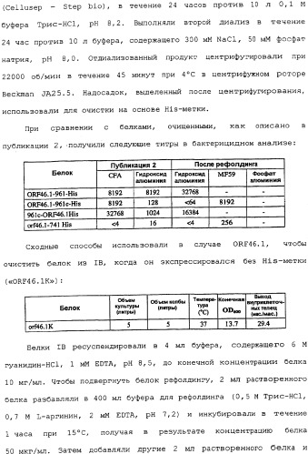 Гибридная и тандемная экспрессия белков нейссерий (патент 2339646)