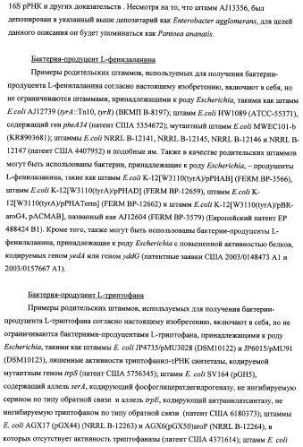 Способ получения l-треонина с использованием бактерии, принадлежащей к роду escherichia, модифицированной таким образом, что в ней нарушена способность к образованию ворсинок типа &quot;керли&quot; (патент 2338782)