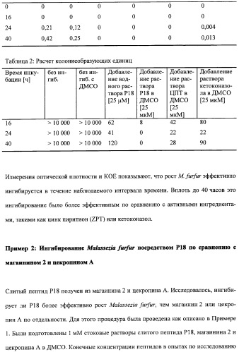 Противоперхотные композиции, содержащие пептиды (патент 2491052)