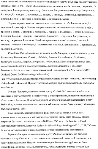 Способ получения l-аминокислот с использованием бактерии, принадлежащей к роду escherichia, в которой инактивирован один или несколько генов, кодирующих малые рнк (патент 2395567)