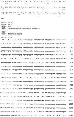 Pscaxcd3, cd19xcd3, c-metxcd3, эндосиалинxcd3, epcamxcd3, igf-1rxcd3 или fap-альфаxcd3 биспецифическое одноцепочечное антитело с межвидовой специфичностью (патент 2547600)